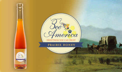 Bee America Introduces Prairie Honey